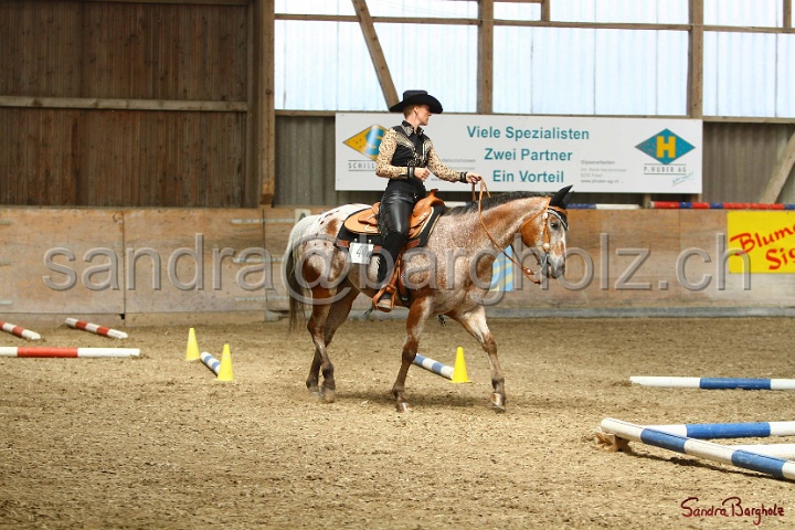 28-ApHC OT_214.jpg